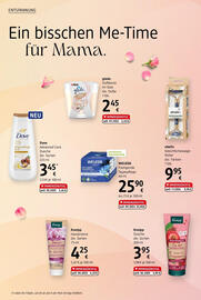 dm Flugblatt Seite 6
