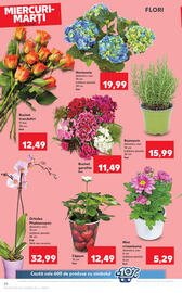 Catalog Kaufland săptămâna 19 Pagină 24
