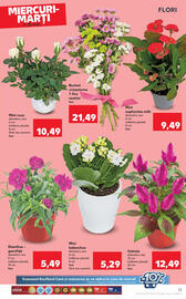 Catalog Kaufland săptămâna 19 Pagină 25