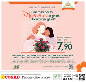 Volantino Conad Superstore Pagina 44