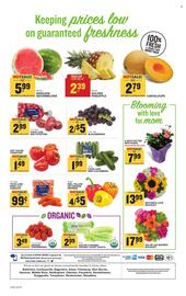 Food Lion Weekly Ad week 19 Page 8
