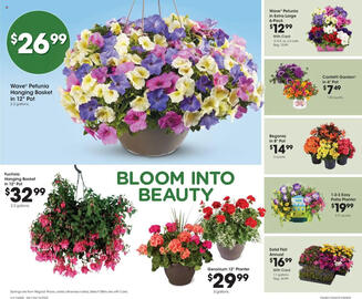 Fred Meyer Weekly Ad week 19 Page 11