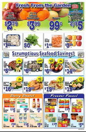 Wayfield Weekly Ad week 19 Page 3