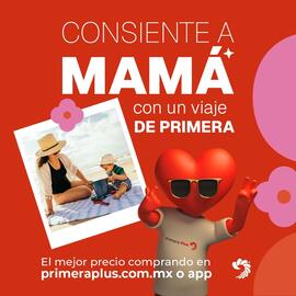Catálogo Primera Plus/Flecha Amarilla semana 19 Página 1