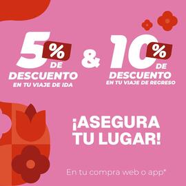 Catálogo Primera Plus/Flecha Amarilla semana 19 Página 2