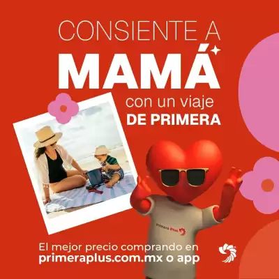 Catálogo Primera Plus/Flecha Amarilla (válido hasta 11-05)