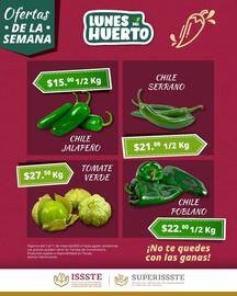 Catálogo SuperISSSTE semana 19 Página 2