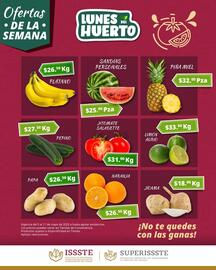 Catálogo SuperISSSTE semana 19 Página 4