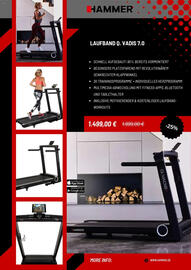 Hammer Prospekt Seite 11