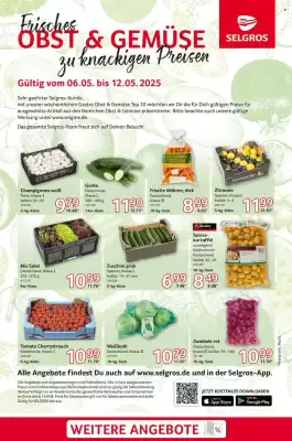 Selgros Prospekt (gültig bis 12-05)