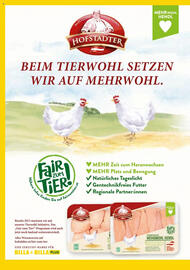 Billa Flugblatt Seite 5