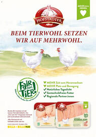 Billa Flugblatt Seite 5