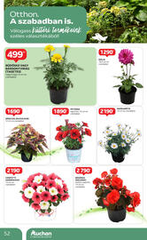 Auchan akciós újság hét 19 Oldal 52
