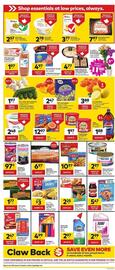 Giant Tiger flyer week 19 Page 2