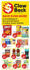 Giant Tiger flyer week 19 Page 6