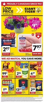 Giant Tiger flyer (valid until 13-05)