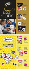 Giant Tiger flyer Page 5