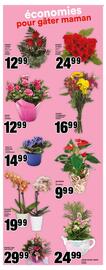 Super C flyer week 19 Page 13