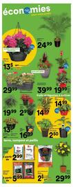 Super C flyer week 19 Page 14