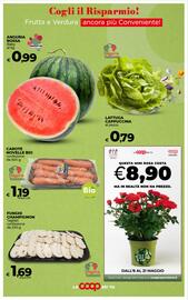Volantino Ipercoop Radenza Pagina 29