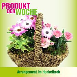 Blumen B&B Flugblatt woche 19 Seite 4