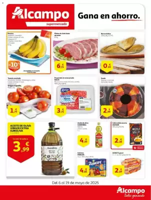 Folleto Alcampo supermercado (válido hasta el 19-05)