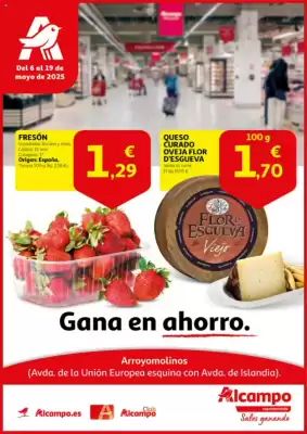 Folleto Alcampo supermercado (válido hasta el 19-05)