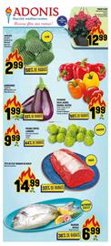 Marché Adonis flyer Page 1