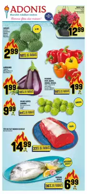 Marché Adonis flyer (valid until 21-05)