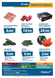 Folleto Dialsur Cash & Carry semana 19 Página 2