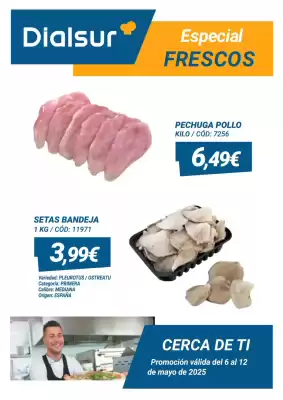 Folleto Dialsur Cash & Carry (válido hasta el 12-05)