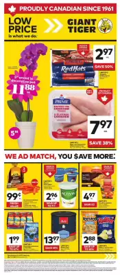 Giant Tiger flyer (valid until 21-05)