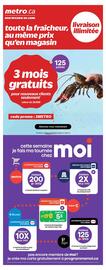 Metro flyer Page 5