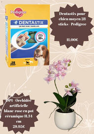 Folheto Jardiland Página 7
