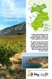 Folheto Pingo Doce | Vinhos de Setúbal Página 4