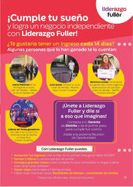 Catálogo Fuller Página 31