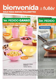 Catálogo Fuller Página 32