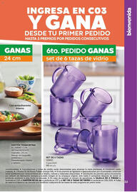 Catálogo Fuller Página 33
