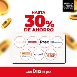 Catálogo Supermercados DIA Página 1