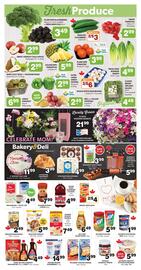 Colemans flyer Page 3