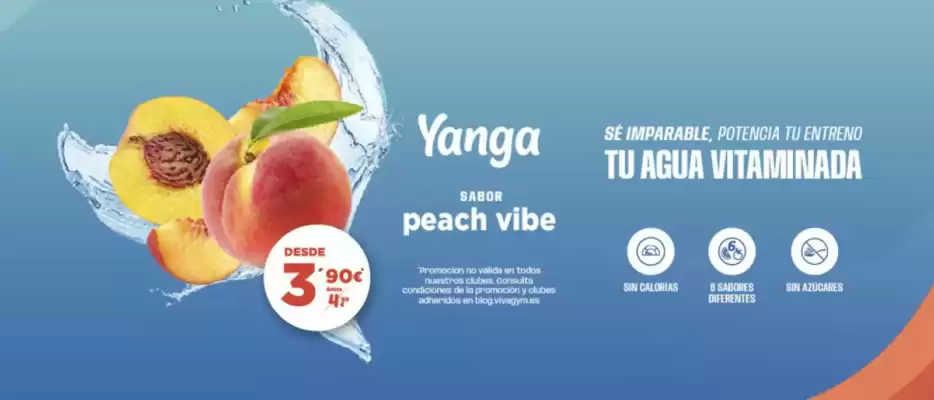 Folleto VivaGym (válido hasta el 20-05)