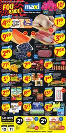 Maxi flyer Page 1