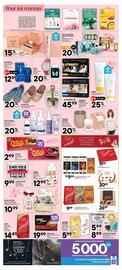 Brunet flyer Page 4