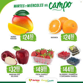 Catálogo Soriana Súper Página 2