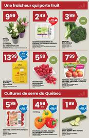Rachelle-Bery Grocery flyer week 19 Page 3