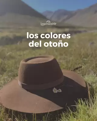 Catálogo Lagomarsino 1891 (válido hasta 19-05)