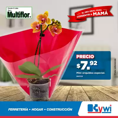 Catálogo Kywi (válido hasta 11-05)