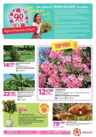 Catalogue Delbard page 4