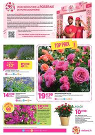 Catalogue Delbard page 5