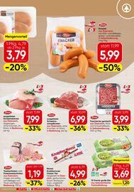 Spar Flugblatt Seite 11
